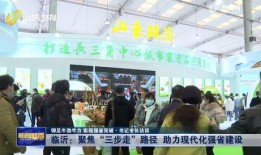 临沂都市爆料新闻,揭秘本地热点事件背后的真相